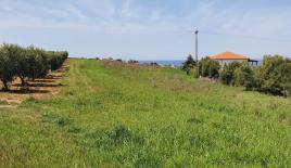 Земля за 290 000 евро на Кассандре, Греция