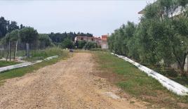 Земля за 420 000 евро на Кассандре, Греция