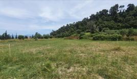 Земля за 800 000 евро на Кассандре, Греция