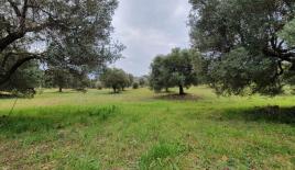 Земля за 220 000 евро на Кассандре, Греция