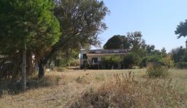 Земля за 870 000 евро на Кассандре, Греция