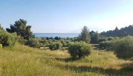 Земля за 900 000 евро на Кассандре, Греция