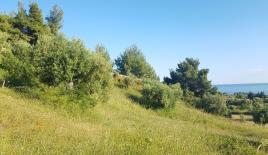 Земля за 250 000 евро на Кассандре, Греция