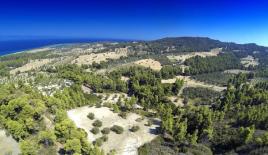 Земля за 600 000 евро на Кассандре, Греция