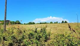 Земля за 220 000 евро на Кассандре, Греция