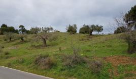 Земля за 220 000 евро на Кассандре, Греция