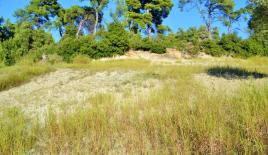 Земля за 160 000 евро на Кассандре, Греция