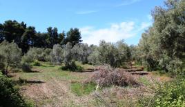 Земля за 500 000 евро на Кассандре, Греция