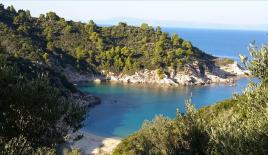 Земля за 1 900 000 евро в Ситонии, Греция