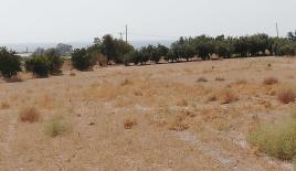 Земля за 3 500 000 евро в Пафосе, Кипр