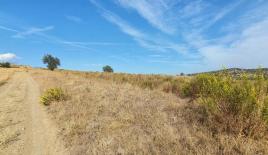 Земля за 225 000 евро в Ситонии, Греция