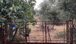 Земля за 460 000 евро в Афинах, Греция