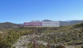 Земля за 97 000 евро на полуострове Луштица, Черногория