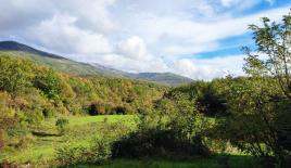 Земля за 60 560 евро в Никшиче, Черногория