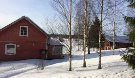 Дом за 19 000 евро в Пюхтяя, Финляндия