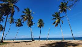 Земля за 349 039 евро в Пунта-Кана, Доминиканская Республика