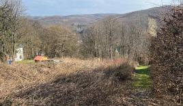 Земля за 1 299 000 евро в Вене, Австрия