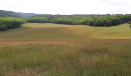 Ферма за 990 000 евро в Венгрии