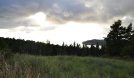 Земля за 210 000 евро на Кассандре, Греция