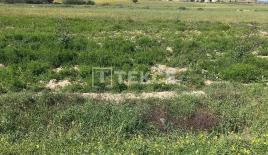 Ферма за 149 000 евро в Искеле, Кипр