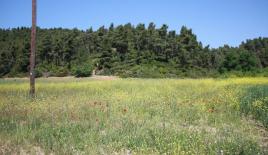 Земля за 400 000 евро на Кассандре, Греция