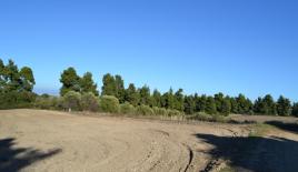 Земля за 150 000 евро на Кассандре, Греция