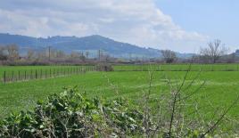 Земля за 230 000 евро на Кассандре, Греция