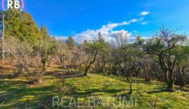 Земля за 38 420 евро в Батуми, Грузия