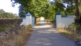 Поместье за 2 900 000 евро в Порталегри, Португалия