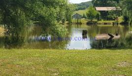 Поместье за 945 000 евро в Тухельске Топлице, Хорватия