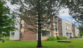 Квартира за 19 000 евро в Пиелавеси, Финляндия