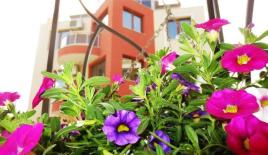 Студия за 106 500 евро в Святых Константине и Елене, Болгария