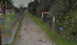 Земля за 215 000 евро на Халкидиках, Греция