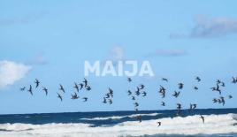 Земля за 775 739 евро в Пунта-Кана, Доминиканская Республика