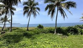 Земля за 158 399 евро в Самане, Доминиканская Республика