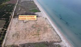 Земля за 1 000 000 евро на Халкидиках, Греция