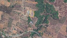 Земля за 160 000 евро в Ситонии, Греция