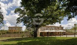 Отель, гостиница в Читта-делла-Пьеве, Италия (цена по запросу)