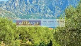 Вилла за 170 000 евро в Прчани, Черногория