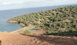 Земля за 1 800 000 евро на Халкидиках, Греция