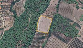 Земля за 160 000 евро в Ситонии, Греция