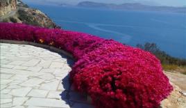 Дом за 800 000 евро на Пелопоннесе, Греция