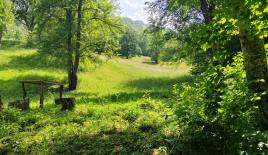 Земля за 111 000 евро в Колашине, Черногория