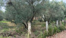 Земля за 216 000 евро в Улцине, Черногория