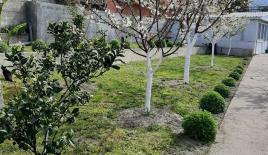 Дом за 220 000 евро в Баре, Черногория