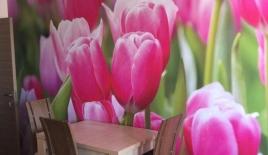 Квартира за 112 000 евро в Бургасе, Болгария