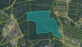 Земля за 1 600 000 евро на Халкидиках, Греция