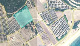 Земля за 540 000 евро на Халкидиках, Греция