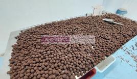 Коммерческая недвижимость за 200 000 евро в Радановичах, Черногория