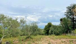 Земля за 250 000 евро на Корфу, Греция